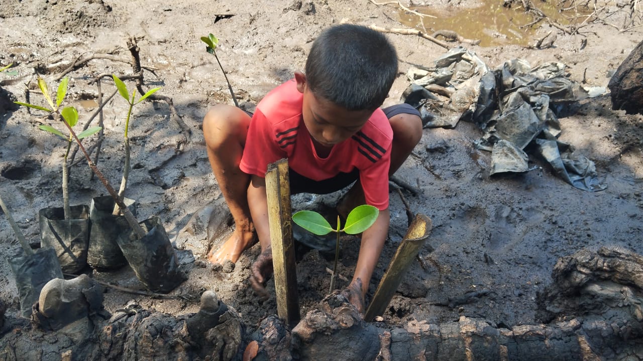 Tanam Pohon Timur Indonesia Lestarikan Bumi